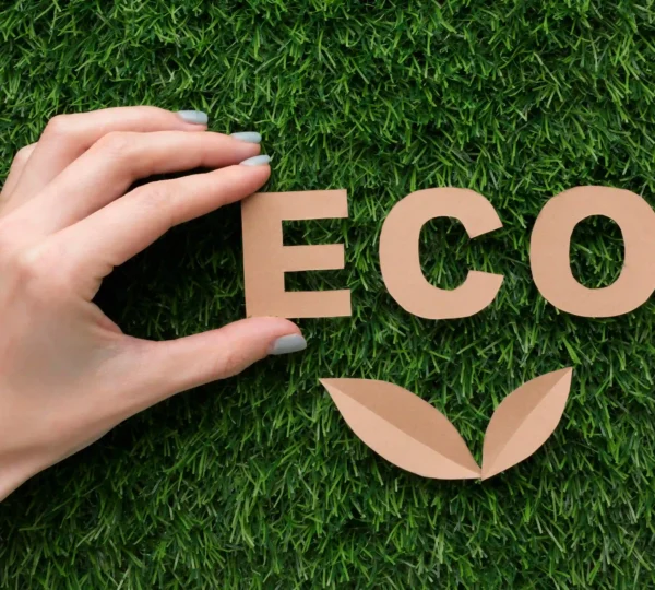 Eco-Friendly & Sustainable